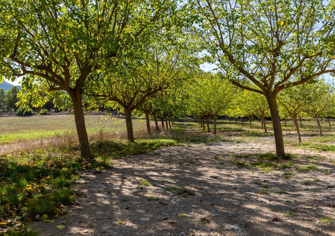 San Martín de Tous Masia Aubareda מראה חיצוני תמונה