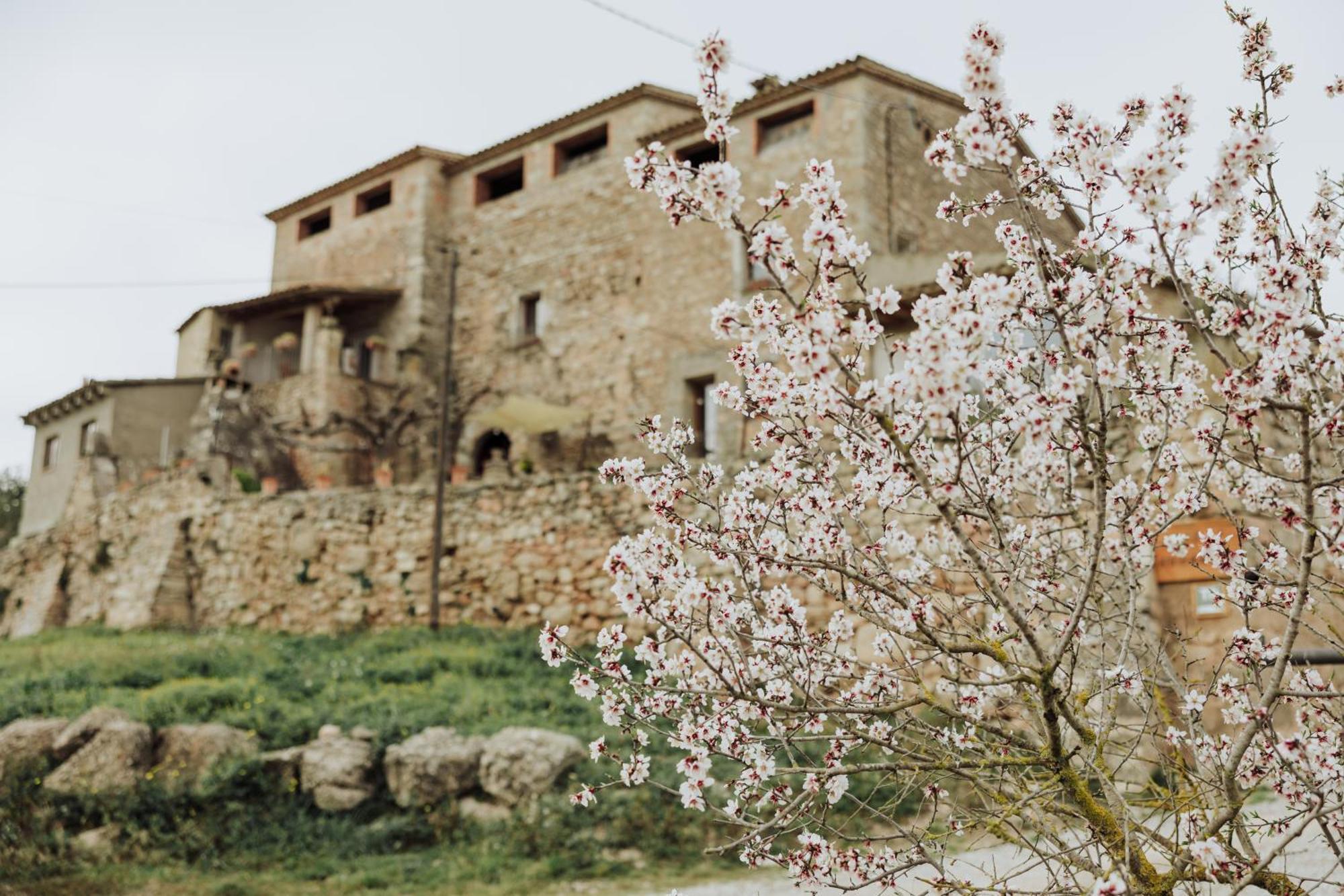 San Martín de Tous Masia Aubareda מראה חיצוני תמונה